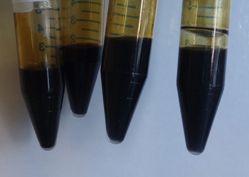 Analyse des huiles de pyrolyse